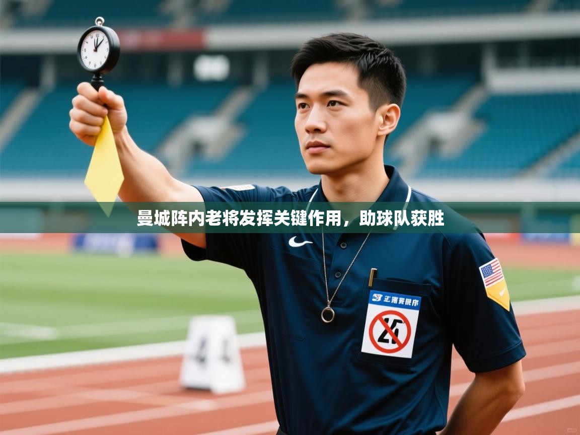 曼城阵内老将发挥关键作用，助球队获胜  第1张