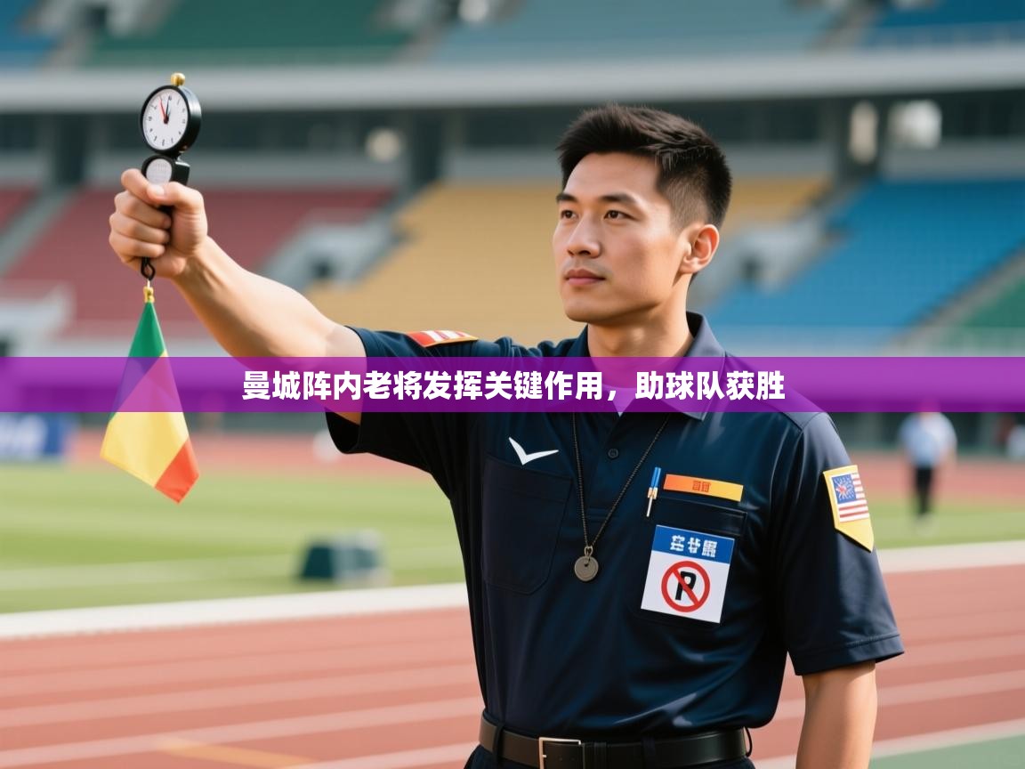 曼城阵内老将发挥关键作用，助球队获胜  第2张