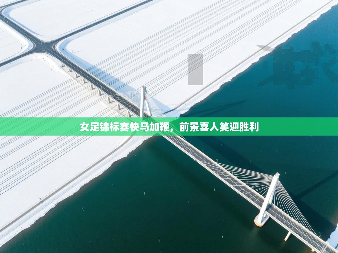女足锦标赛快马加鞭，前景喜人笑迎胜利  第1张